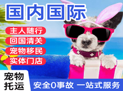 天水麦积山航空快运国际宠物托运 【国